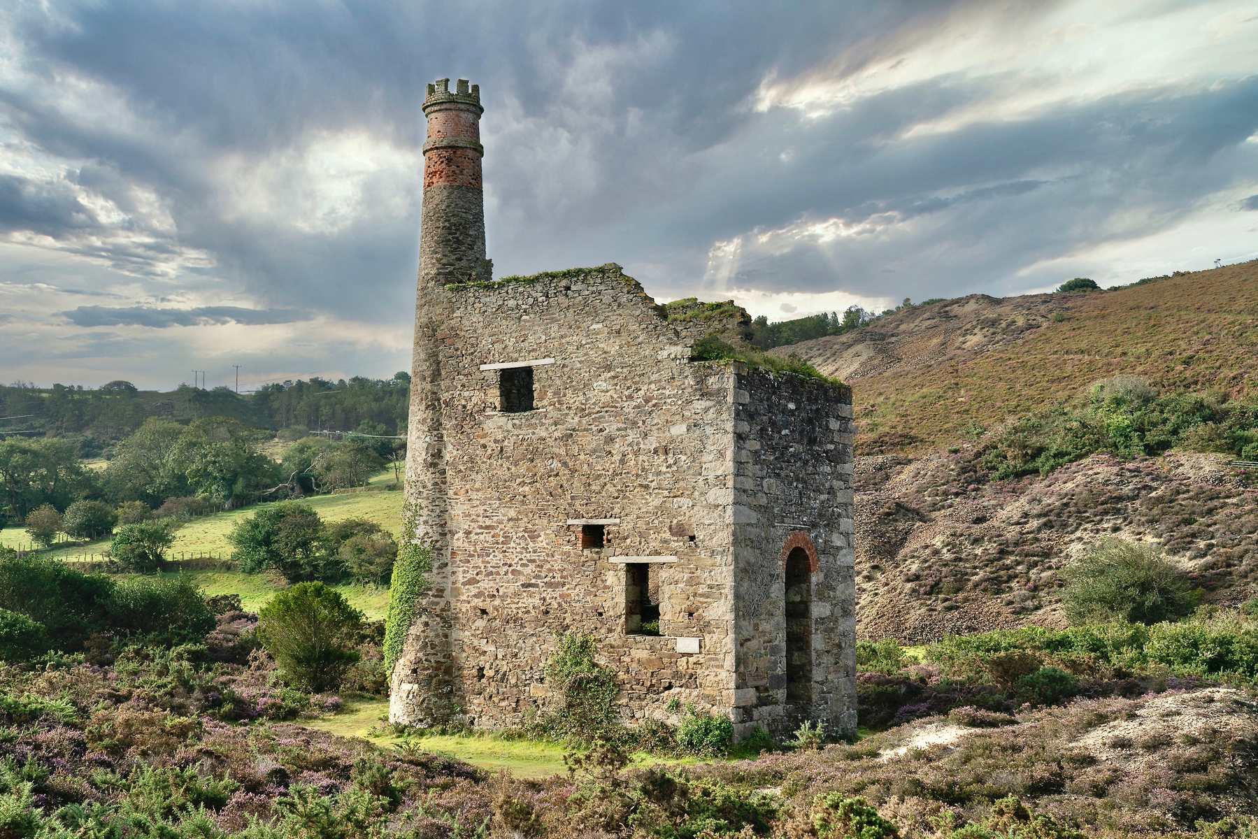 Wh Ellen-never saw an engine 2019